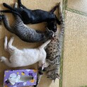 とても可愛い3兄弟です♡