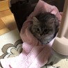 うり