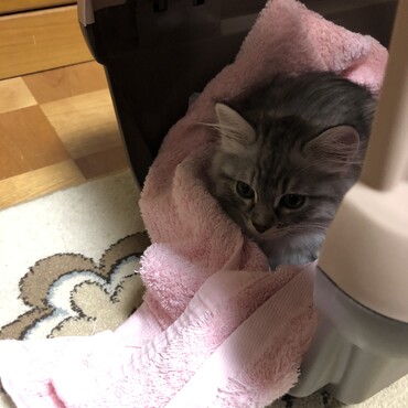 ちょっと緊張中