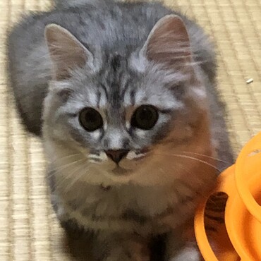 遊ぶ準備きまってます
