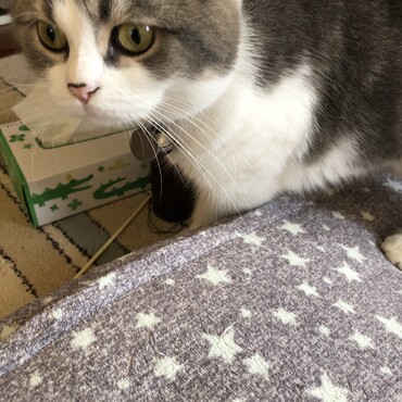 あたしのドアップ