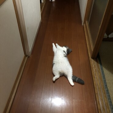 熱帯夜のホラー