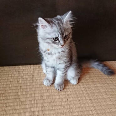 おじー撮影⑤