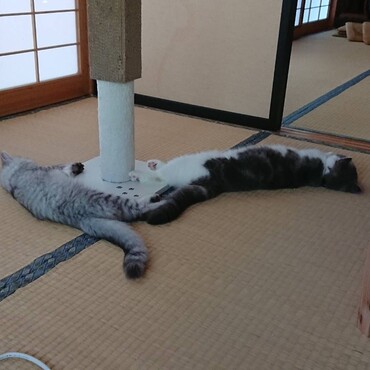 うりと仲良し①