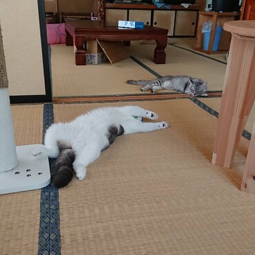 うりと仲良し②