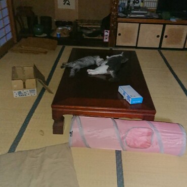 うりと仲良し③
