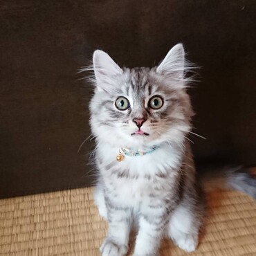 おじー撮影①