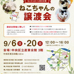 ねこざんまい譲渡会＠東日本橋
