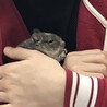 の写真