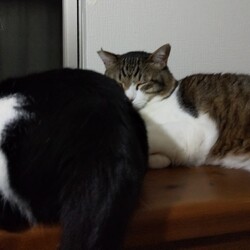 「遥ちゃんありがとう」サムネイル2