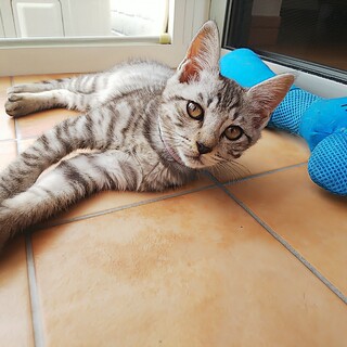 可愛い女の子です