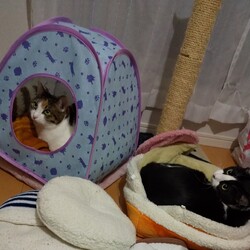 「遥ちゃんありがとう」サムネイル3