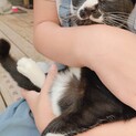 残り１匹になりました。