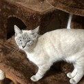 里親募集してます