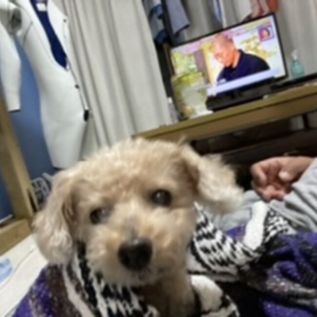 せんさんさんのカバー写真