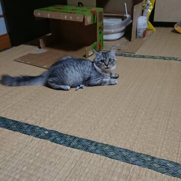 おじー激写（笑）