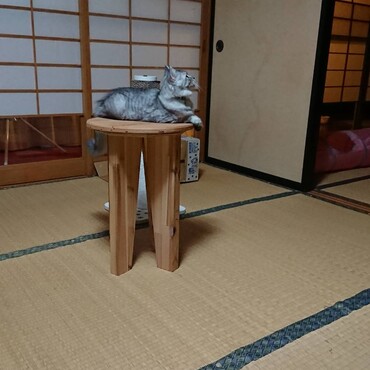横顔もイケメンじゃね？