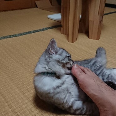 おじーの足、クサっ！！