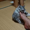 おじーの足、臭くてたまらん