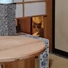 あたしは見てる。うりとおじーがラブラブで遊んでいるのを。
