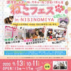 にゃんだらけの部屋へようこそ！ねこフェスハロウィン