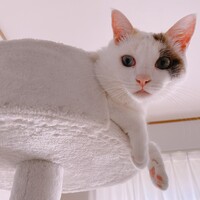 ちよ