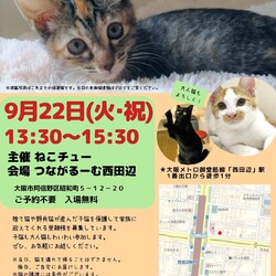 ねこチュー第3回猫の譲渡会