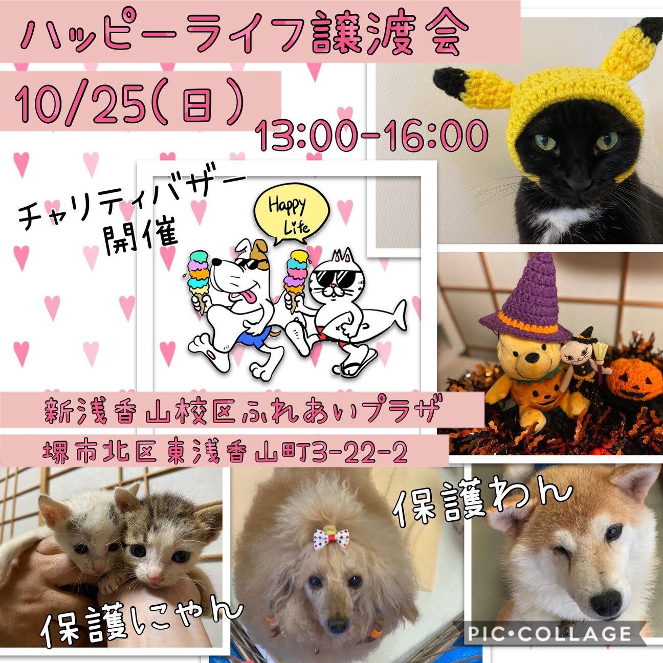 Happy Life ワ 大阪公園ニャン歩友の会のイベント 105 ペットのおうち 月間利用者150万人