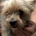 ☆家族が決まりました‼️☆