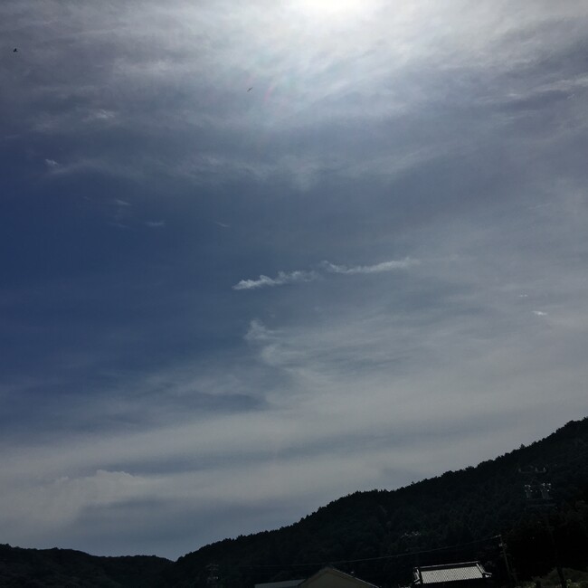 Rio1343のカバー写真