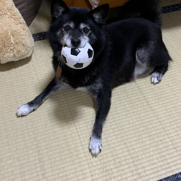 離したくないーー