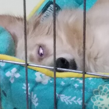 時々見せる不細工な寝顔…