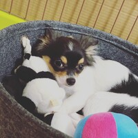 リロ