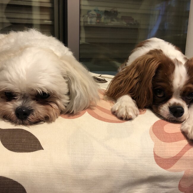 みなとそらのカバー写真