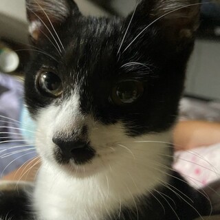 お留守番も大丈夫♡とてもフレンドリーなゆかりちゃん