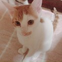 とても元気な男の子のひめくんです！