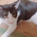 2歳半甘えん坊くーちゃん