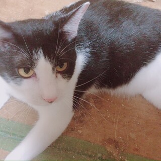2歳半甘えん坊くーちゃん