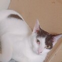 愛らしいまりんちゃん
