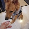 の写真
