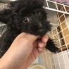 お鼻が薄毛！