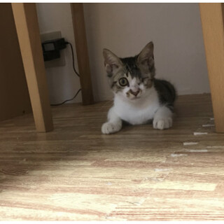 【代理投稿】とっても元気な男の子です！