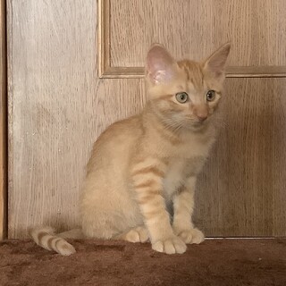 有り難うございました