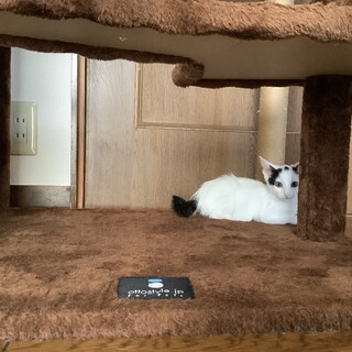 有り難うございました！