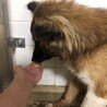 大人しい可愛らしい男の子 サムネイル3