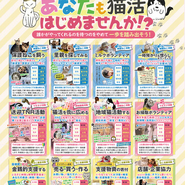あなたも猫活はじめませんか？