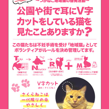 さくらねこってな～に？