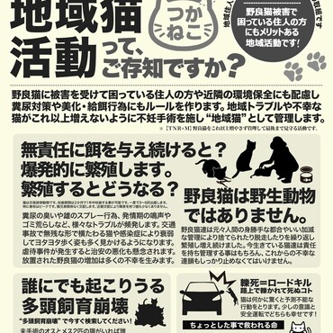 地域猫活動ってご存知ですか？