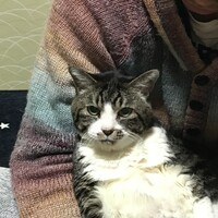きすけ