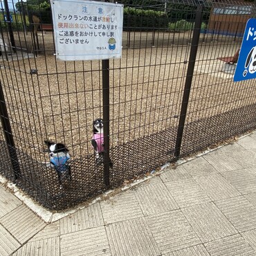 守谷パーキングエリア